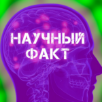 Научный Факт